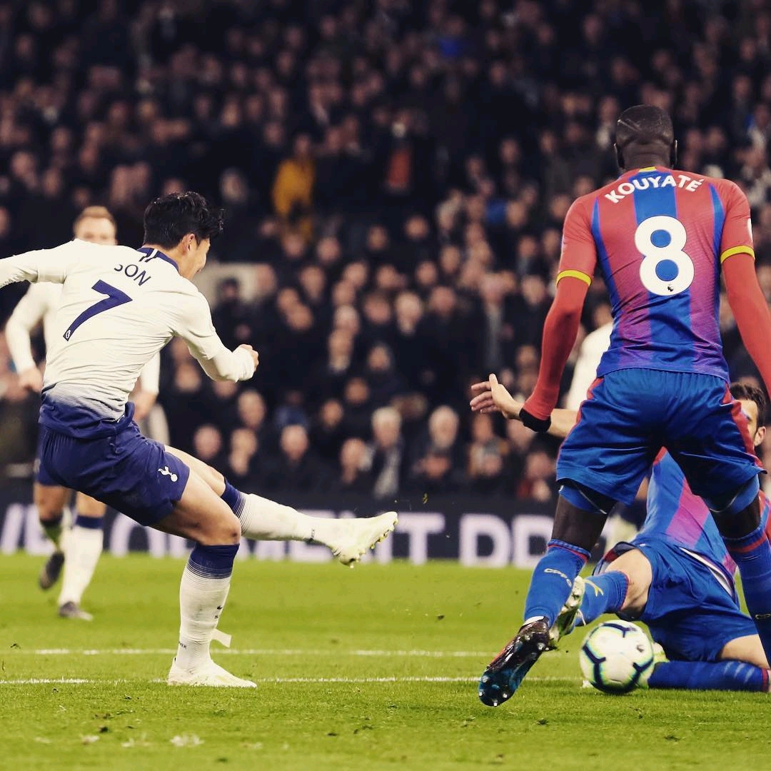 蒙德以来 蒙德以来